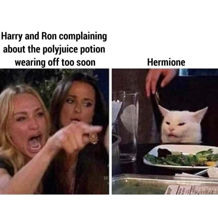 25 Hilarious Harry Potter Memes That Change The Way We See The Franchise
