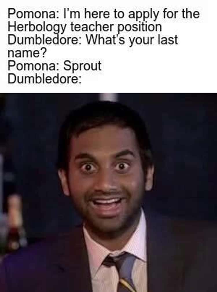 25 Hilarious Harry Potter Memes That Make Us Want To Go Back To