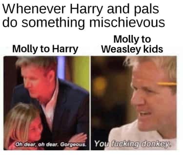 25 Hilarious Harry Potter Memes Only Hardcore Fans Can Relate To