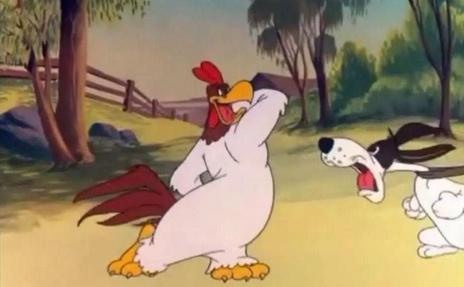The Best Foghorn Leghorn Quotes, Ranked By Fans