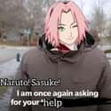 Once Again on Random Funny Memes About Sakura Being Useless in Naruto
