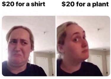 25 Memes You Can Only Relate To If You Re Obsessed With House Plants