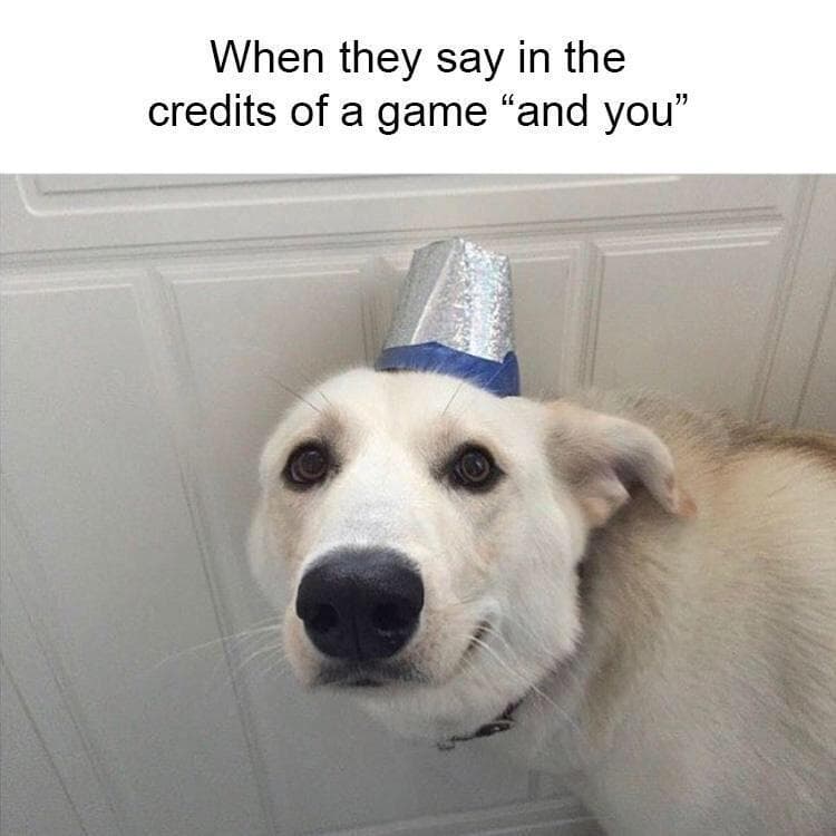 32 Wholesome Animal Memes That Lifted Our Spirits In A Big Way