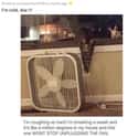 Unplugged The Fan on Random Animals Were Hilariously Evil Without Any Reason
