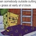 Why Does It Always Have To Be So Early? on Random Spongebob Squarepants Memes That Take Memes To Next Level
