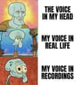 Three Completely Different Voices on Random Spongebob Squarepants Memes That Take Memes To Next Level