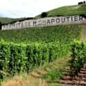 M Chapoutier  on Random Best Wineries in the World