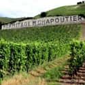 M Chapoutier  on Random Best Wineries in the World