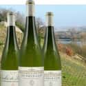 Domaine de la Coulée de Serrant  on Random Best Wineries in the World