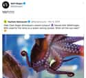 An Octopus Is Named After Him on Random Funny Seth Rogen Tweets That Remind Us Why He's One Of Most Relatable Celebrities