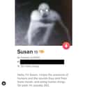 Hoping Susan Finds Love on Random Tinder Screenshots That Are Way Too Embarrassing