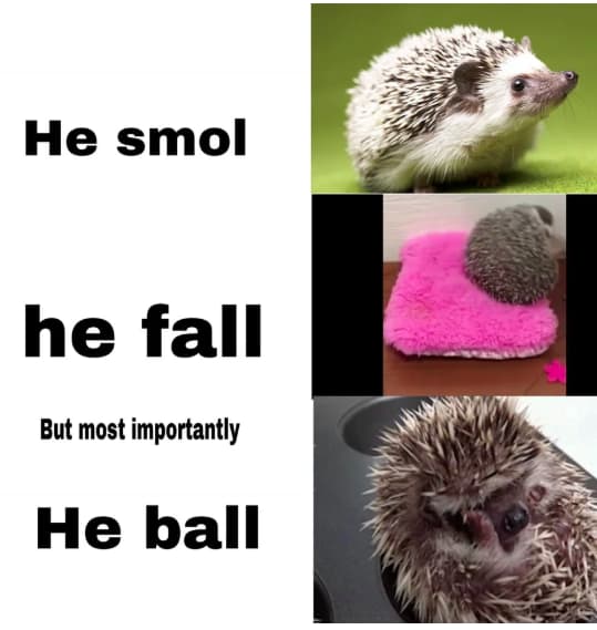 O smol. O smol. O smol. Мемы про маленькость. Smol meme.