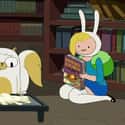 Five Short Tables on Random Best Fionna and Cake Episodes On 'Adventure Time'