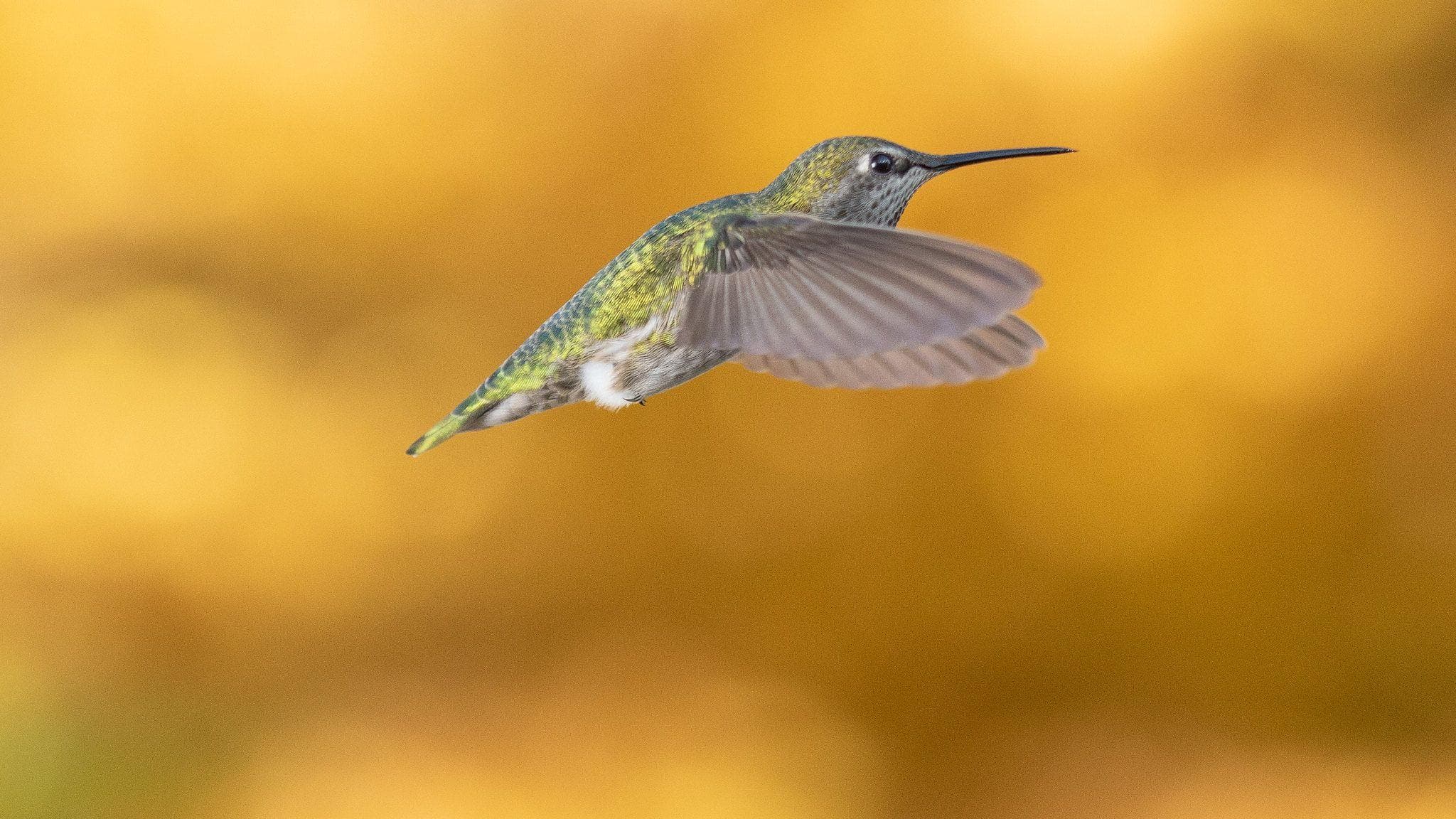 These High-Speed Photos Show You The World In A New Way