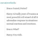 Scared, Potter? on Random Harry Potter Tumblr Posts That Prove This Fandom Is Absolutely Hilarious