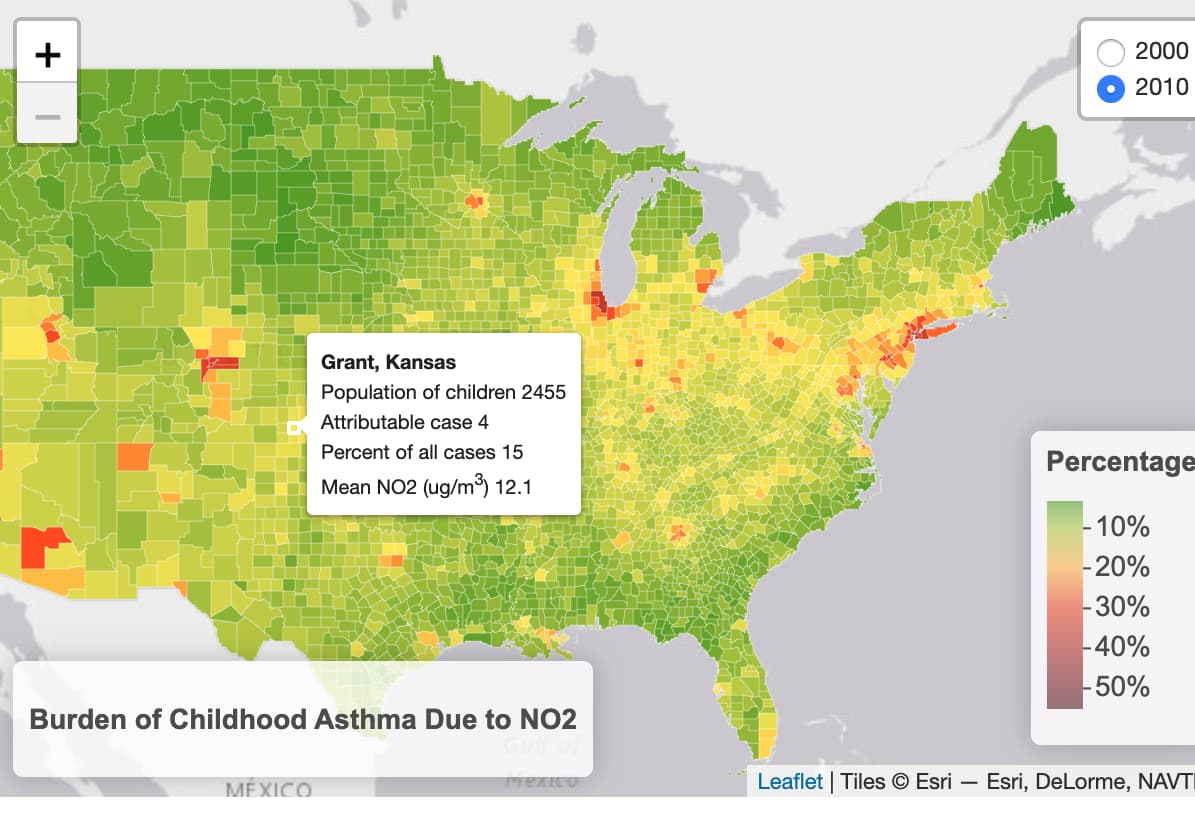 Childhood Asthma Caused By Pollution 