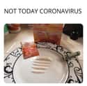 Snort Up on Random Memes About Coronavirus That We Feel Bad For Laughing At