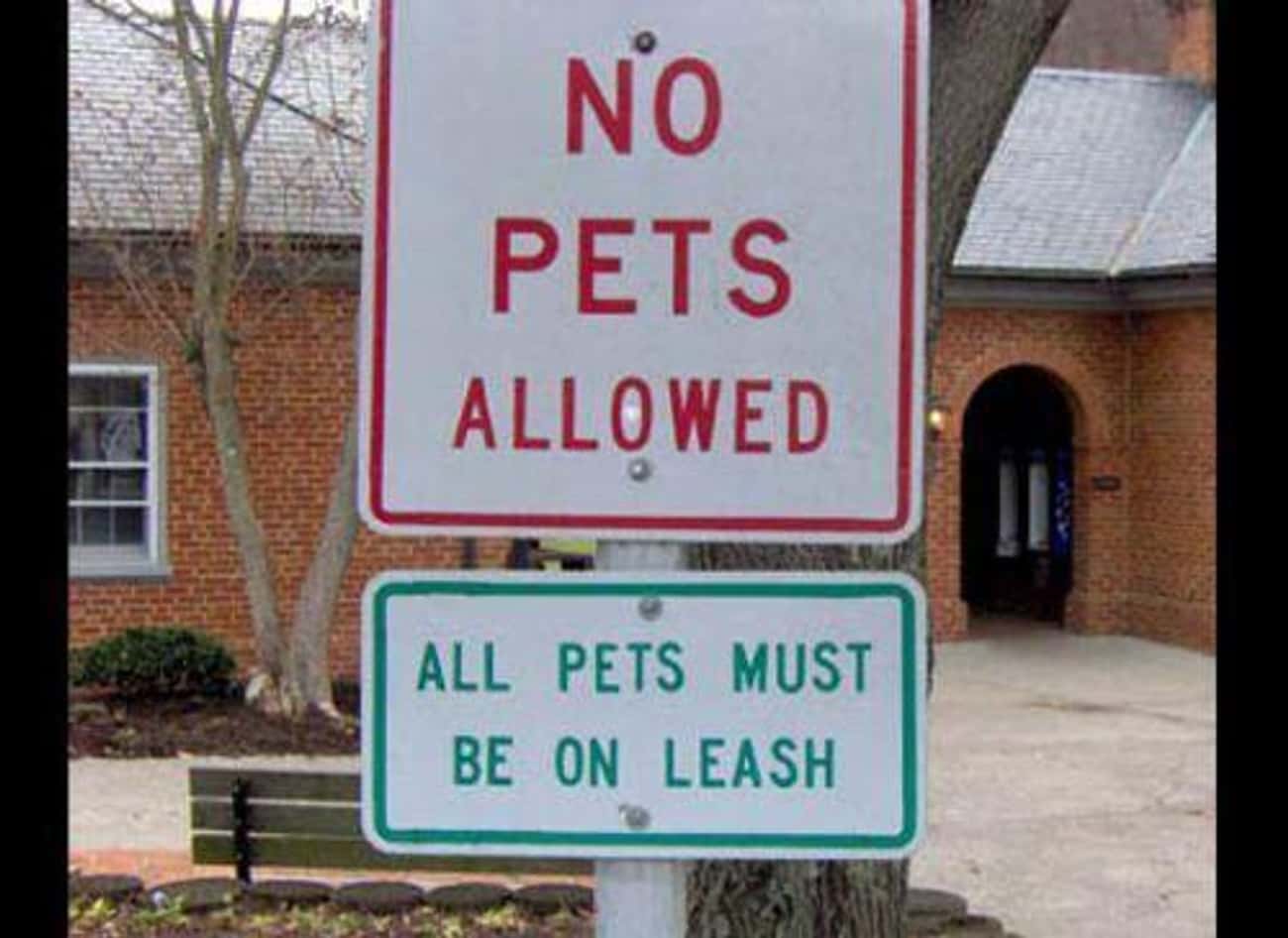 Pets allowed. Funny signs. Абсурдные знаки фото. Funny Road signs. Смешные вывески на английском.