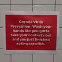 As Seen In Louisiana on Random Memes About Coronavirus That We Feel Bad For Laughing At