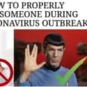 Spock Is The Way on Random Memes About Coronavirus That We Feel Bad For Laughing At