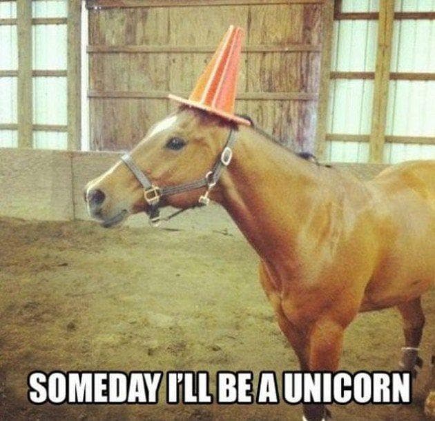 25 Random Unicorn Memes That Might Make Your Day A Little More Magical