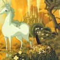 It Tells The Bittersweet Story Of A Unicorn Searching For Her Kind on Random 'Last Unicorn' Is A Beloved Cartoon More Disturbing And Sad Than We Rememb