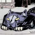 The Catmobile on Random Stupidest Comic Book Vehicles For Super Characters Who Don't Need Vehicles At All