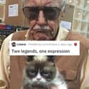 Two Legends on Random Photos Of Tough Guys With Pets