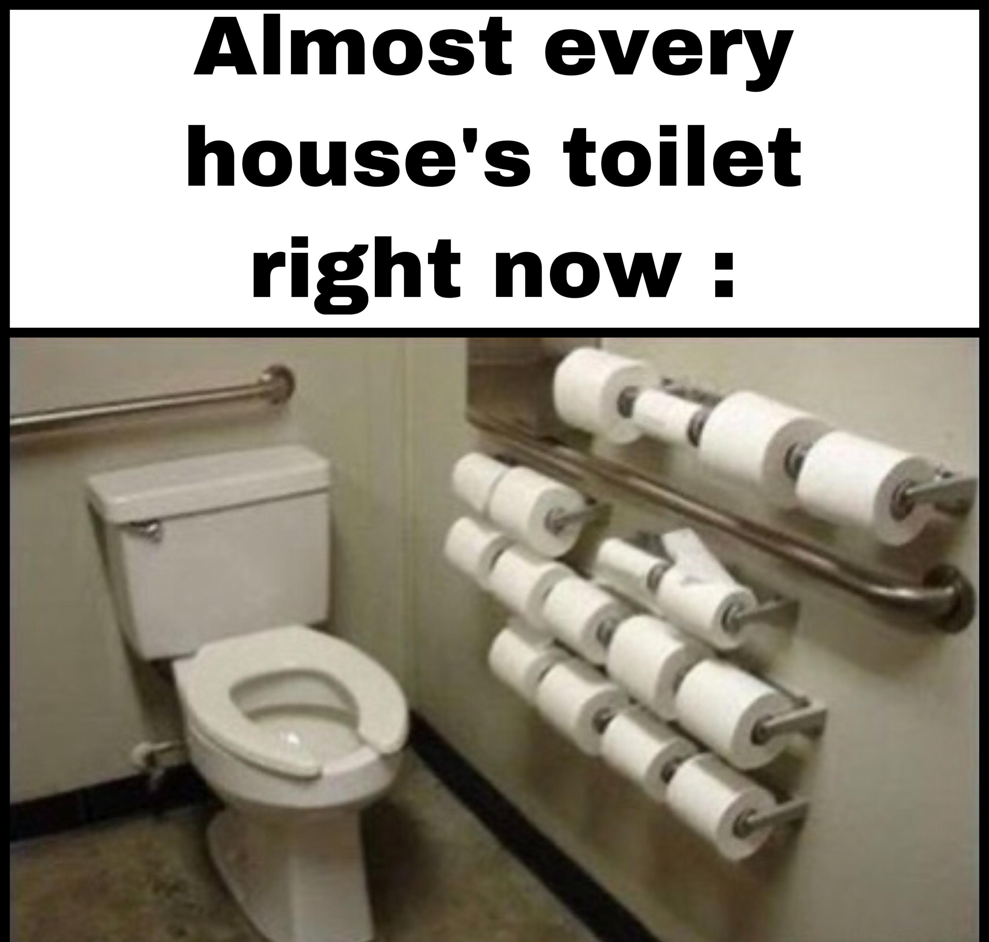 30 Toilet Paper Memes That Prove People Don't Know How To Behave In A ...