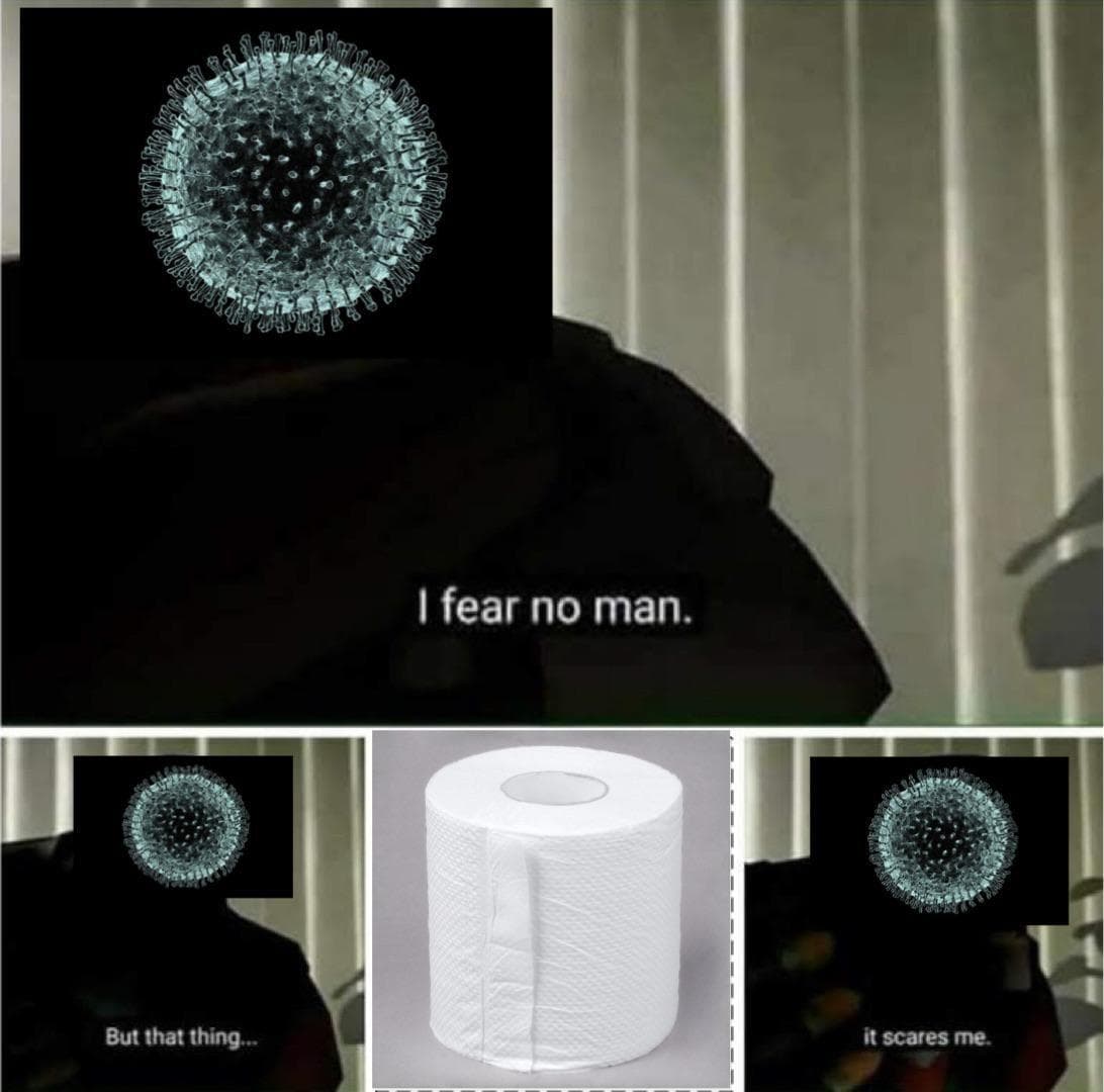 30 Toilet Paper Memes That Prove People Don't Know How To Behave In A ...