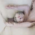 Sleepy Stretching Peach  on Random Photos That Prove Sphynx Are Cuddliest Of All Cats