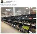Sprouts Aren't Going Anywhere on Random Items Left On The Shelves That Even Panic Buyers Didn't Want