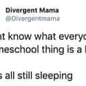 That's Her Secret on Random Funny Tweets Every Parent Who's Homeschooling Their Kids For First Time Can Relate To