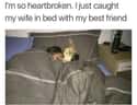 Betrayal Never Looked So Sweet on Random Hilarious Memes About Staying Home That Are Actually Kinda Uplifting