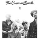 The Common Linnets on Random Best Bands Named After Birds