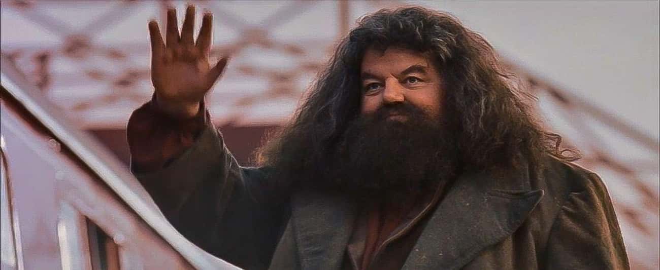 Hagrid's Magical Abilities Are Used Only By Extraordinary Witches And Wizards, Including Death Eaters