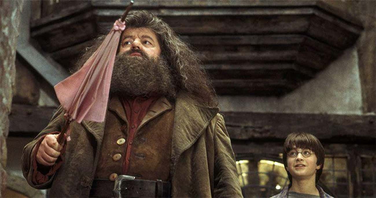 Hagrid Has No Empathy Toward Muggles And Torments Them For His Personal Pleasure