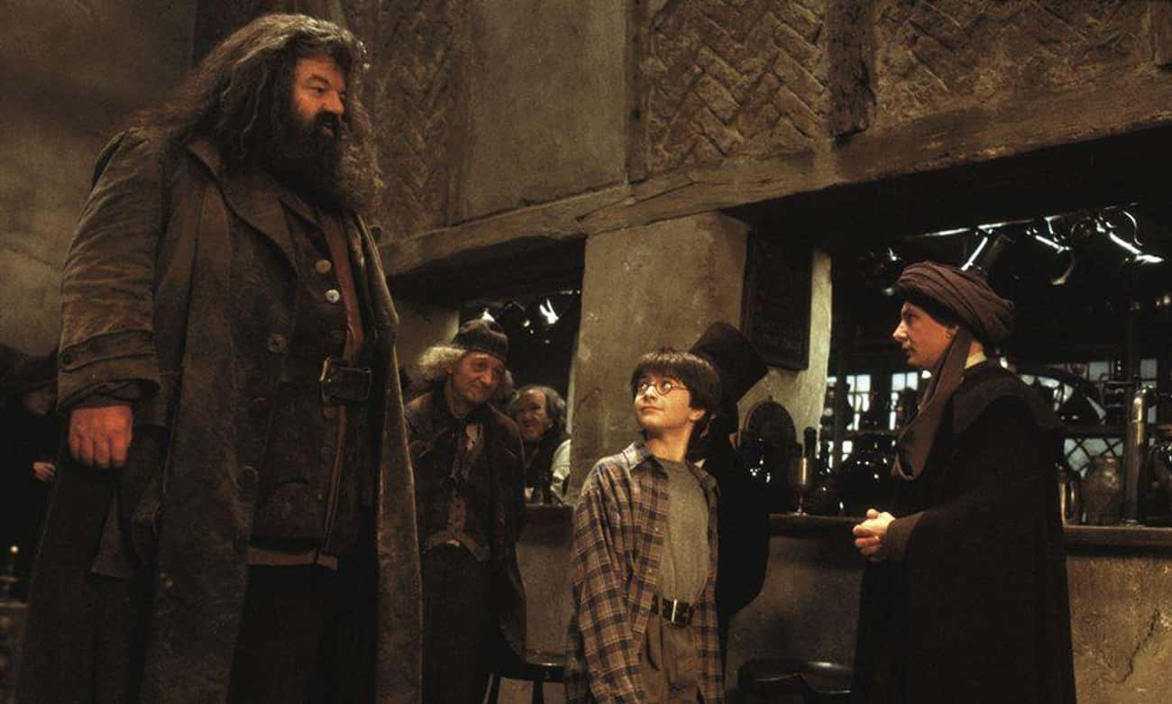 It's Extremely Easy For Hagrid To Lure Harry Straight To Voldemort