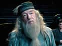 Dumbledore Is a Time Traveler on Random Dumbledore Fan Theories That Might Be More Fact Than Fiction