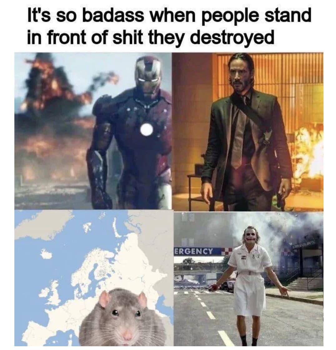 20 Plague Memes For History Buffs Looking For A Laugh