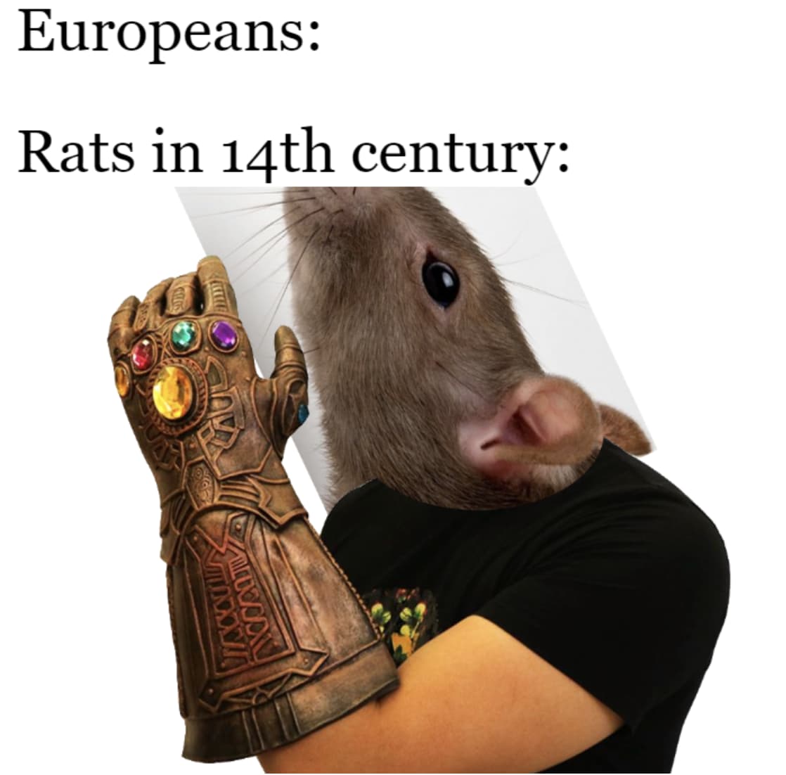 20 Plague Memes For History Buffs Looking For A Laugh