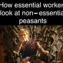 Peasants on Random Memes That Perfectly Describe Struggles Of Being An Essential Worker