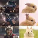 I See No Difference on Random Thor Memes We Laughed Way Too Hard At