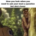 This Titan Is Me on Random Attack On Titan Memes We Laughed Way Too Hard At
