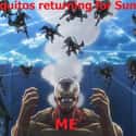 Summertime on Random Attack On Titan Memes We Laughed Way Too Hard At