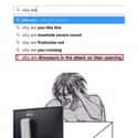 Questions That Keep Me Up At Night on Random Attack On Titan Memes We Laughed Way Too Hard At