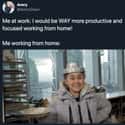 I Know I'd Be More Productive on Random Memes That Perfectly Sum Up Working From Home