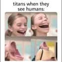 Open Wide on Random Attack On Titan Memes We Laughed Way Too Hard At