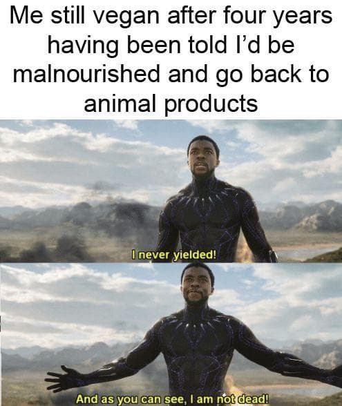 30 Memes For Vegans That Prove They Are Actually Better Than Everyone