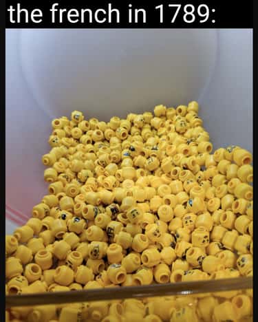 20 French Revolution Memes That Are A Little Too Relatable Right Now